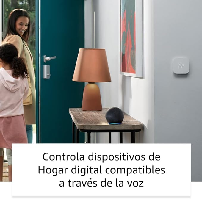 Amazon Echo Dot 5 Gris - Anantta