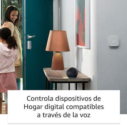Amazon Echo Dot 5 Gris - Anantta