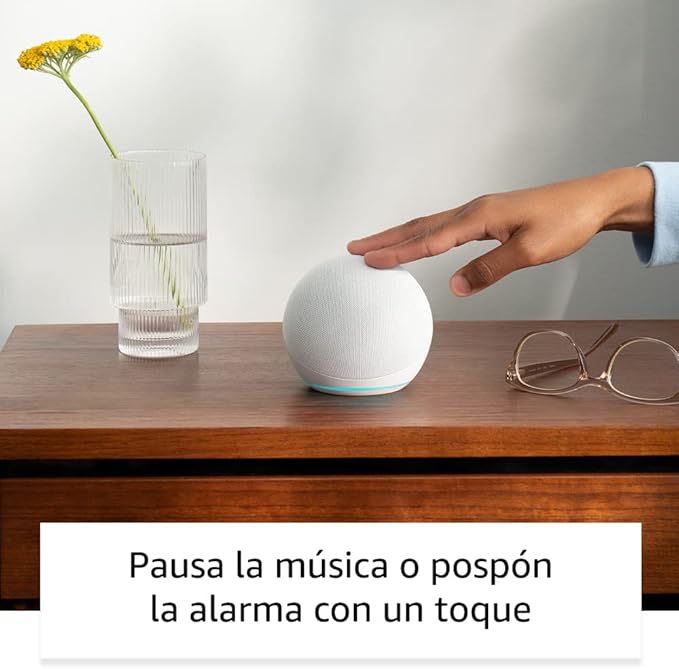 Amazon Echo Dot 5 Gris - Anantta